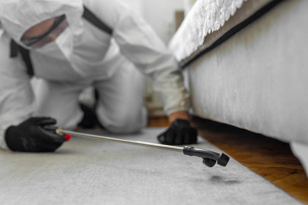Professional Termite Control technician working in Dover, NJ