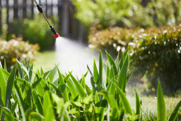 24/7 Emergency Termite Control experts in Dover, NJ